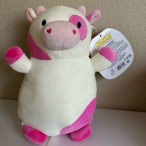 10” Caedyn HugMee Squishmallow